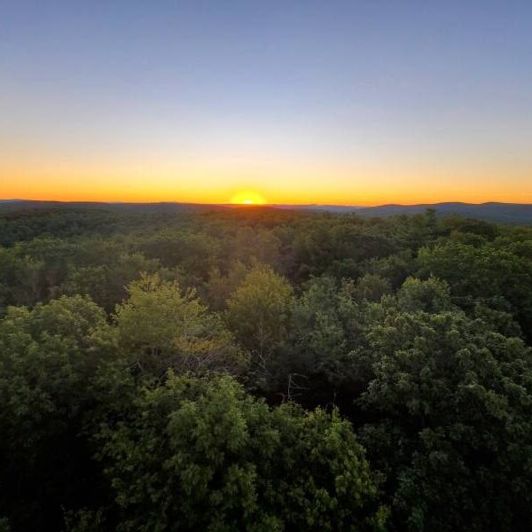 A view of the sun setting over trees.